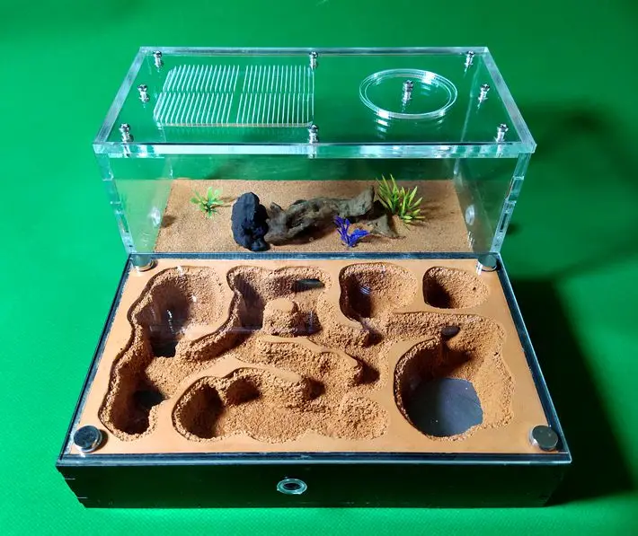 

Ant Castle Double Water Tower Pet Castle Ant Empire Farm Ranch Workshop Ecological Photography Ant Nest