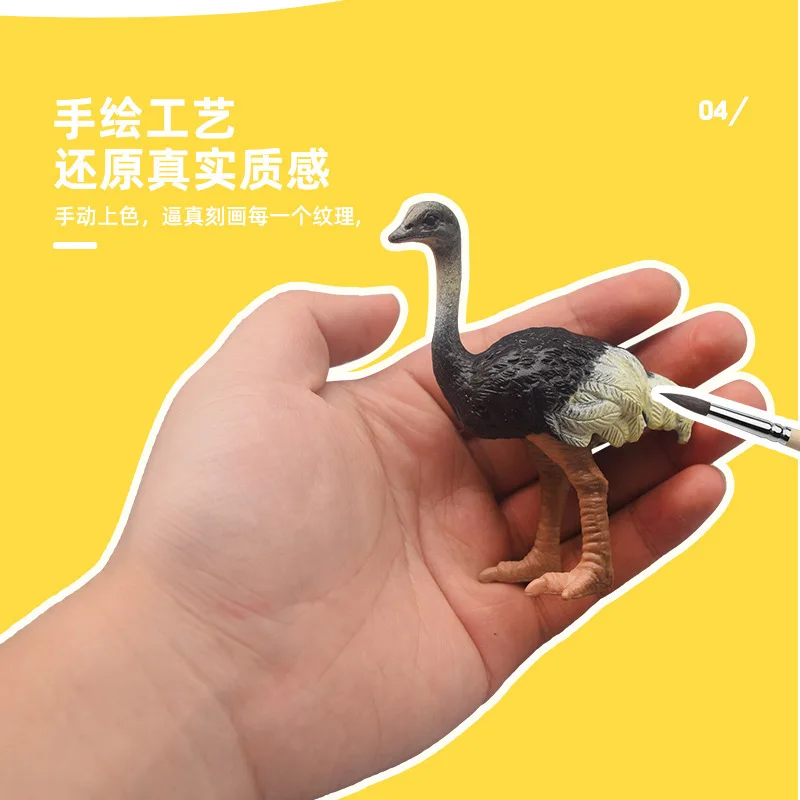 Simulation Figurines Animals Model Action Figures Collection Toys Ostrich Teaching Animal Model Photography Prop Crafts 3pc/set