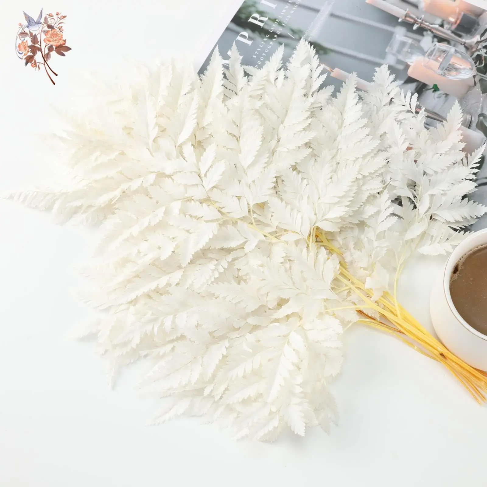 

10pcs Natural Fern Leaf Eternal Dried Goat Tooth Wedding Home Soft Decoration Real Flower Leaves Materials DIY Photography Props