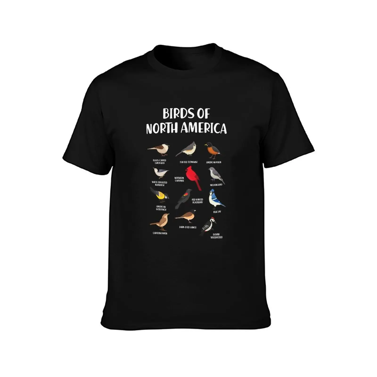 Birds Species North America USA Ornithologist Gift Bird T-Shirt t shirt man luxury T-Shirt