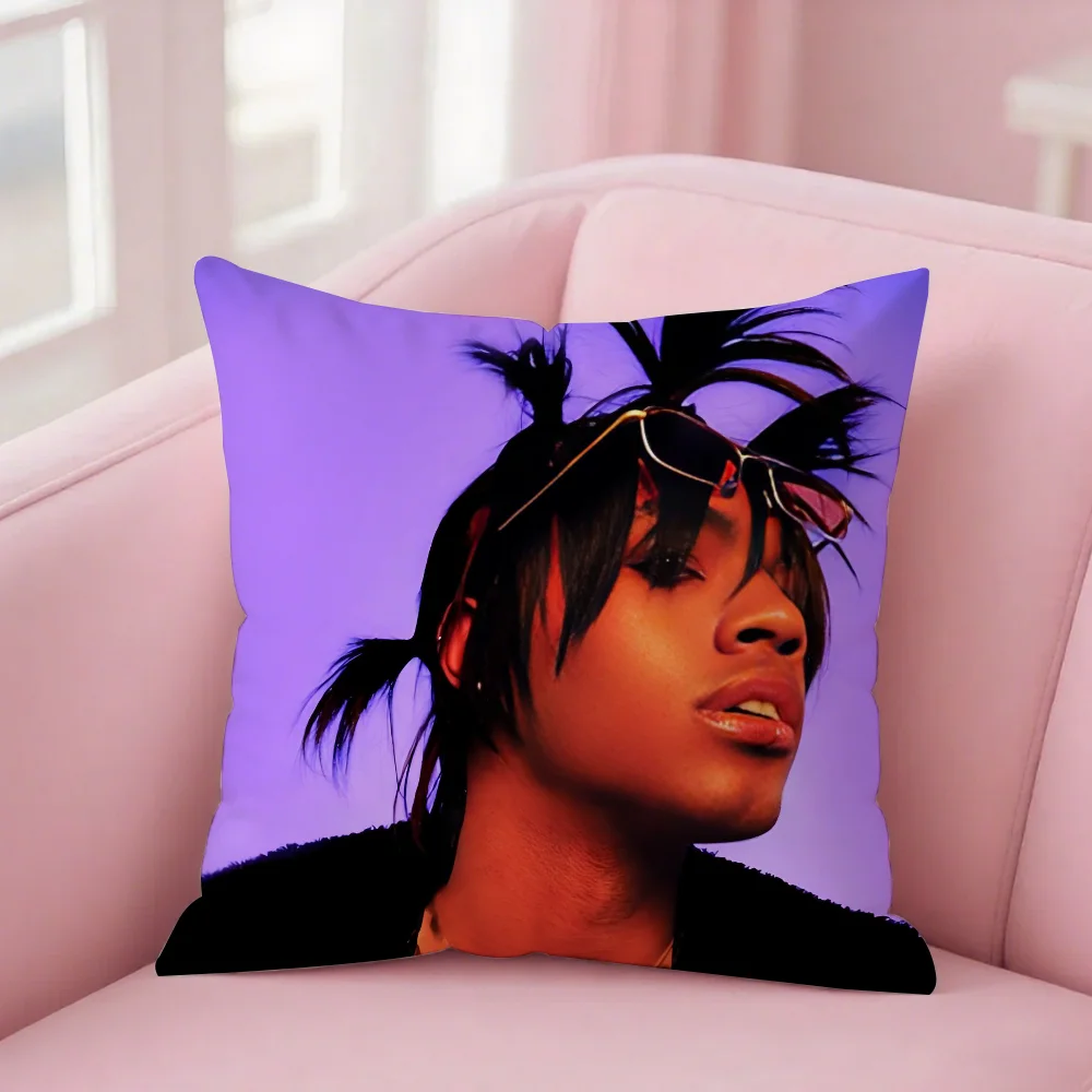 

Наволочка Singer E-Ecco2K, квадратная, с двусторонней печатью, из короткого плюша, для дивана, подушки, спальни, прикроватной тумбочки