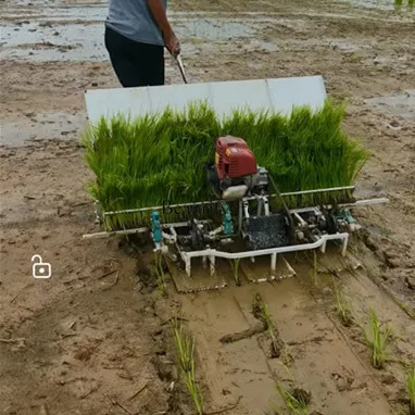 Hand-held small rice transplanter with four rows and six rows