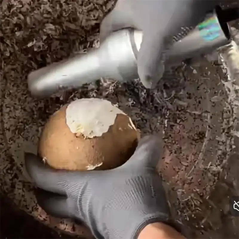 Portable Electric P…