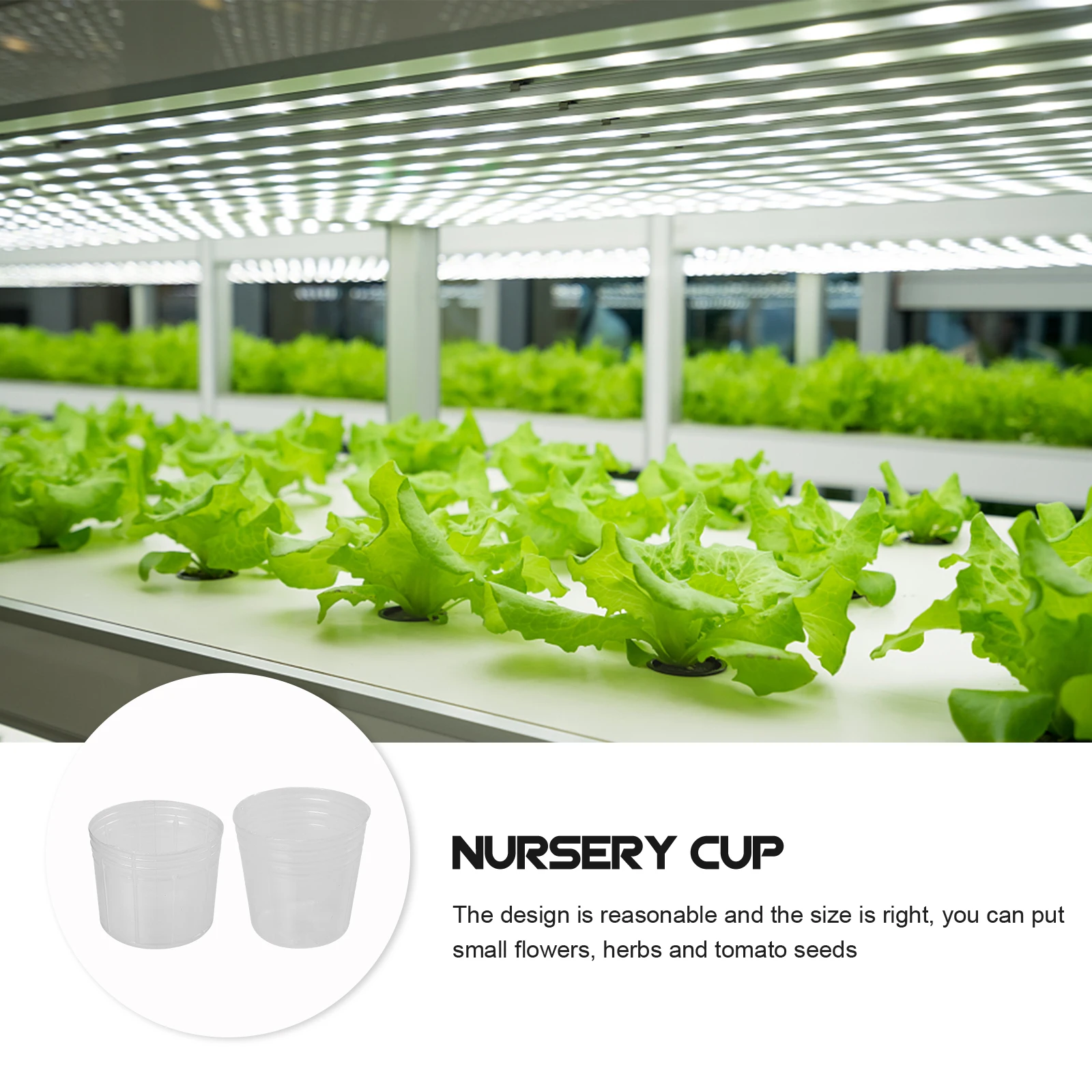 

50 Set Cups Seedlings Transplanting Plastic Flower Pots Garden Flower Nursery Pots Plant Vegetables Fruit Gardening