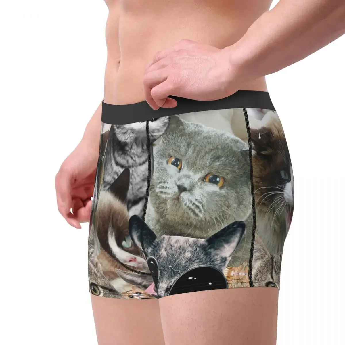 Cool Cat Meek Haughty Languor Vivacious Sprout Underpants Cotton Panties Men's Underwear Print Shorts Boxer Briefs