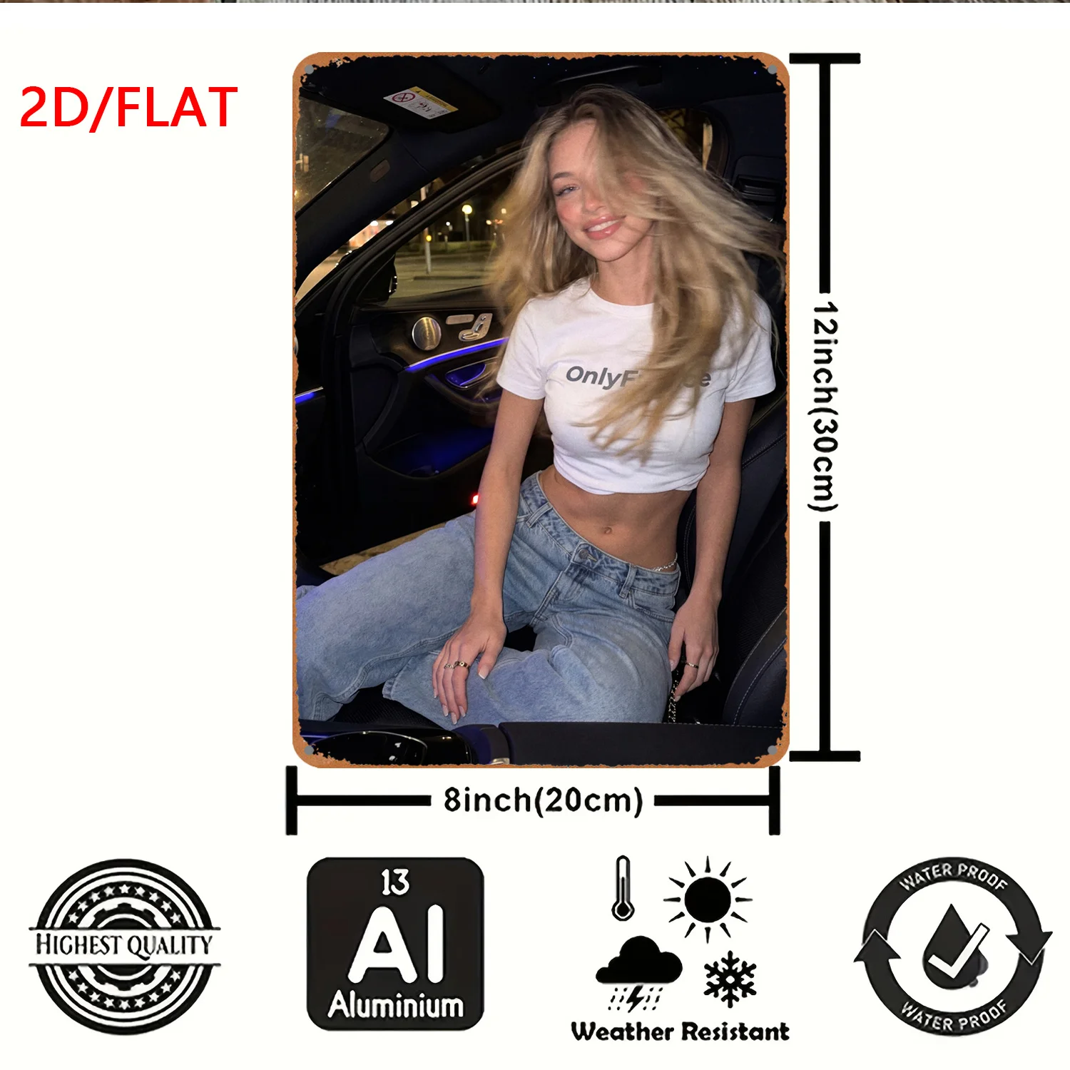CIFBUY Modern Aluminum Wall Art Waterproof Durable 2D Flat Print For Bar Studio Office Store Hanging Decor Gift