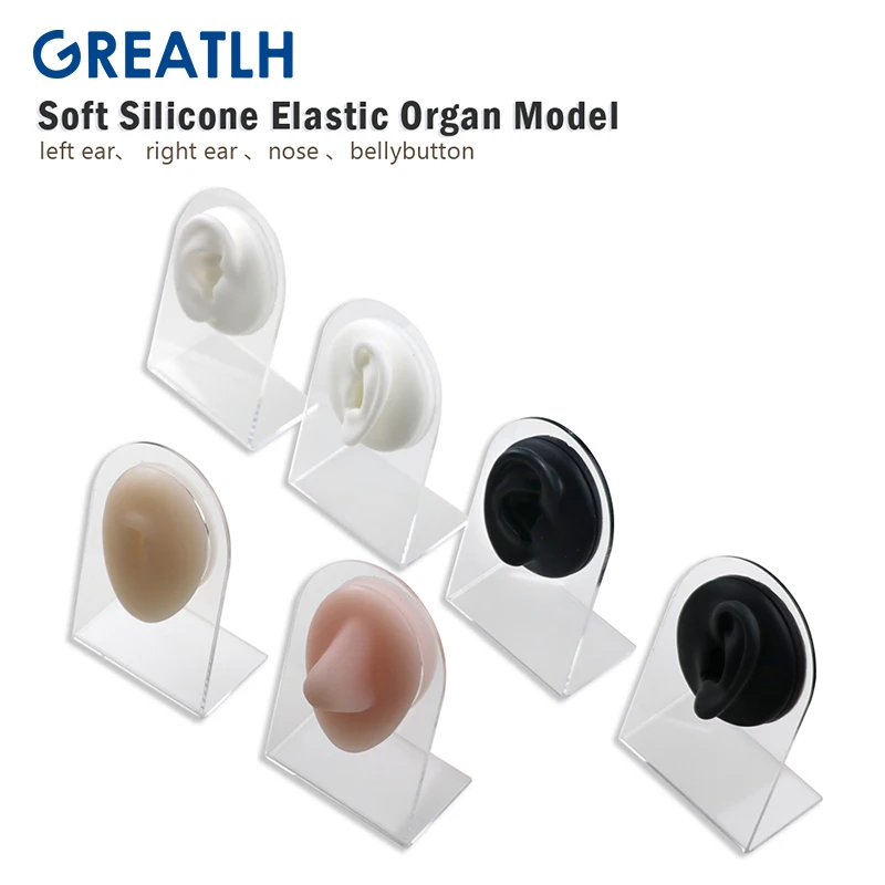 Soft Silicone Flexible Model Elastic Ear Model Nose Model Simulation Display Teaching Tool