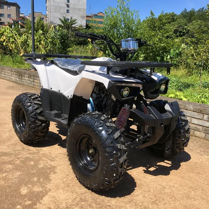 125CC Quad Bike ATV for Kids with Automatic Chain Drive and CE Certification