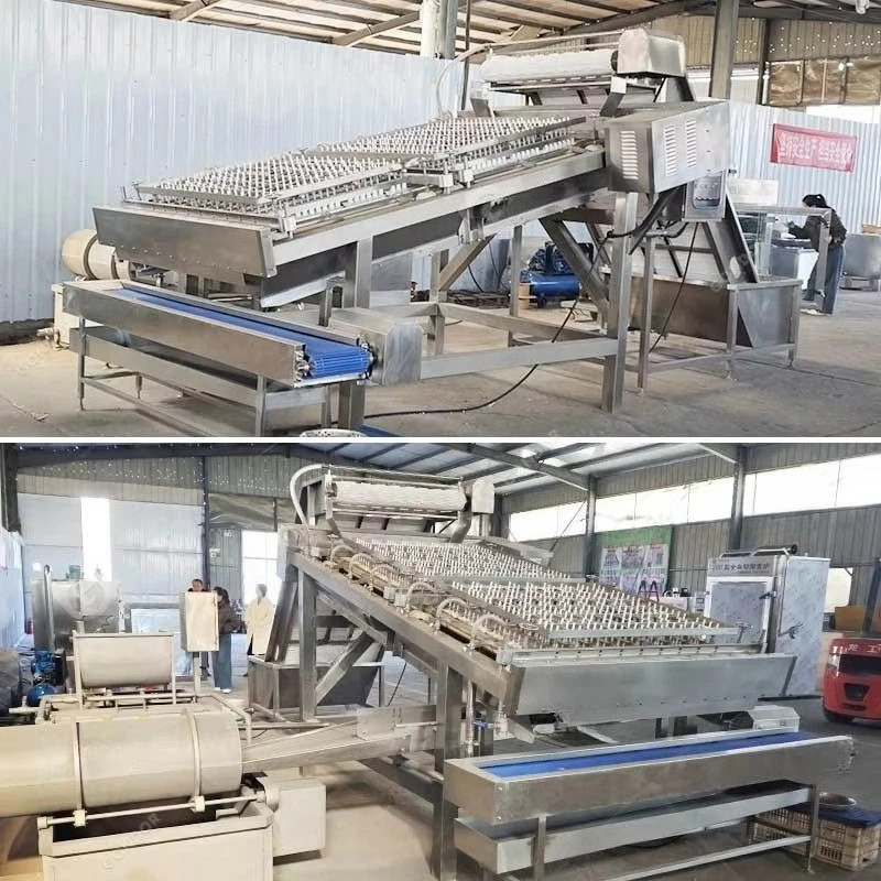 Stainless Steel Vannamei Penaeus Prawn Heading Sheller Custom Shrimp Shell Removing Peeling Equipment