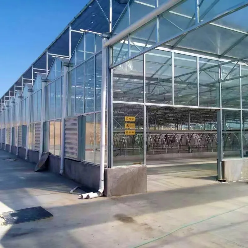 Szybkozmontowane stalowe budynki przemysłowe i rolnicze, szklarnie na farmy do uprawy i hodowli, rok 2025
