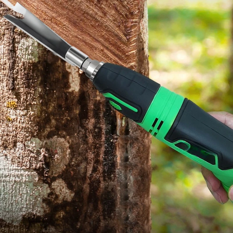 Root Engraving Frui…