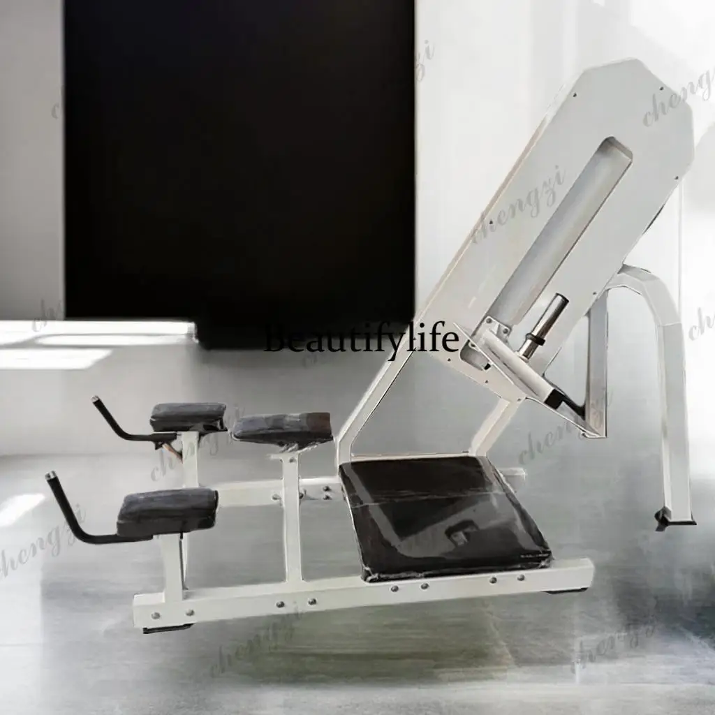 Fitness equipment Inverted legs and hips training Back chest muscle strength equipment Commercial gym special