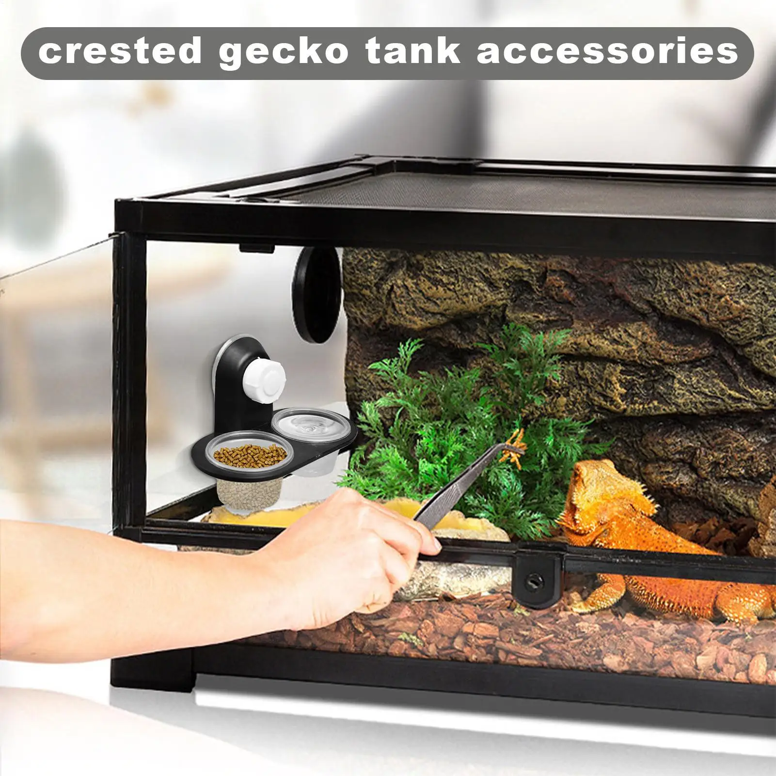 Reptile Dual-Use Food & Water Bowl with Suction Cups, Mounted Double Cup Feeder Dish for Lizard Gecko Snake Terrariums