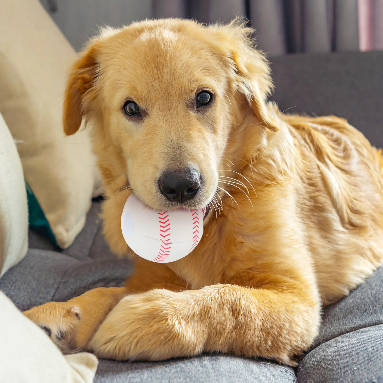

Ball Dog Balls Bite-resistant Puppy Playthings Toys Plastic Indoor Teething Elastic Child