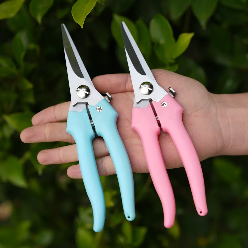 Stainless Steel Straight Garden & Flower Tools: Multi-Color Scissors for Pruning, Arranging, Branch Cutting & Household Grafting
