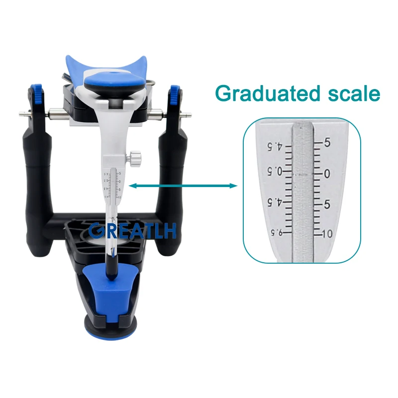 Dental Artex BN Model Functional Articulator Teeth Model Accurate Scale Plaster Model Dentist Tools