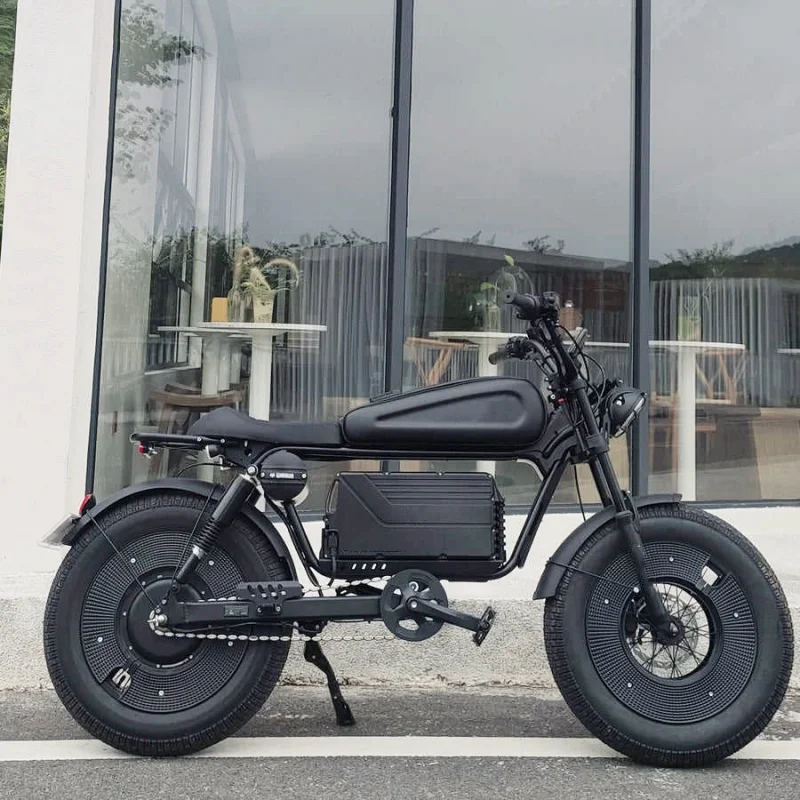 

Hybrid Electric Mountain Bike High-Power 1500 Watt Motor 65kmh Max Speed 30/60AH Fat Tire Aluminum Steel Alloy