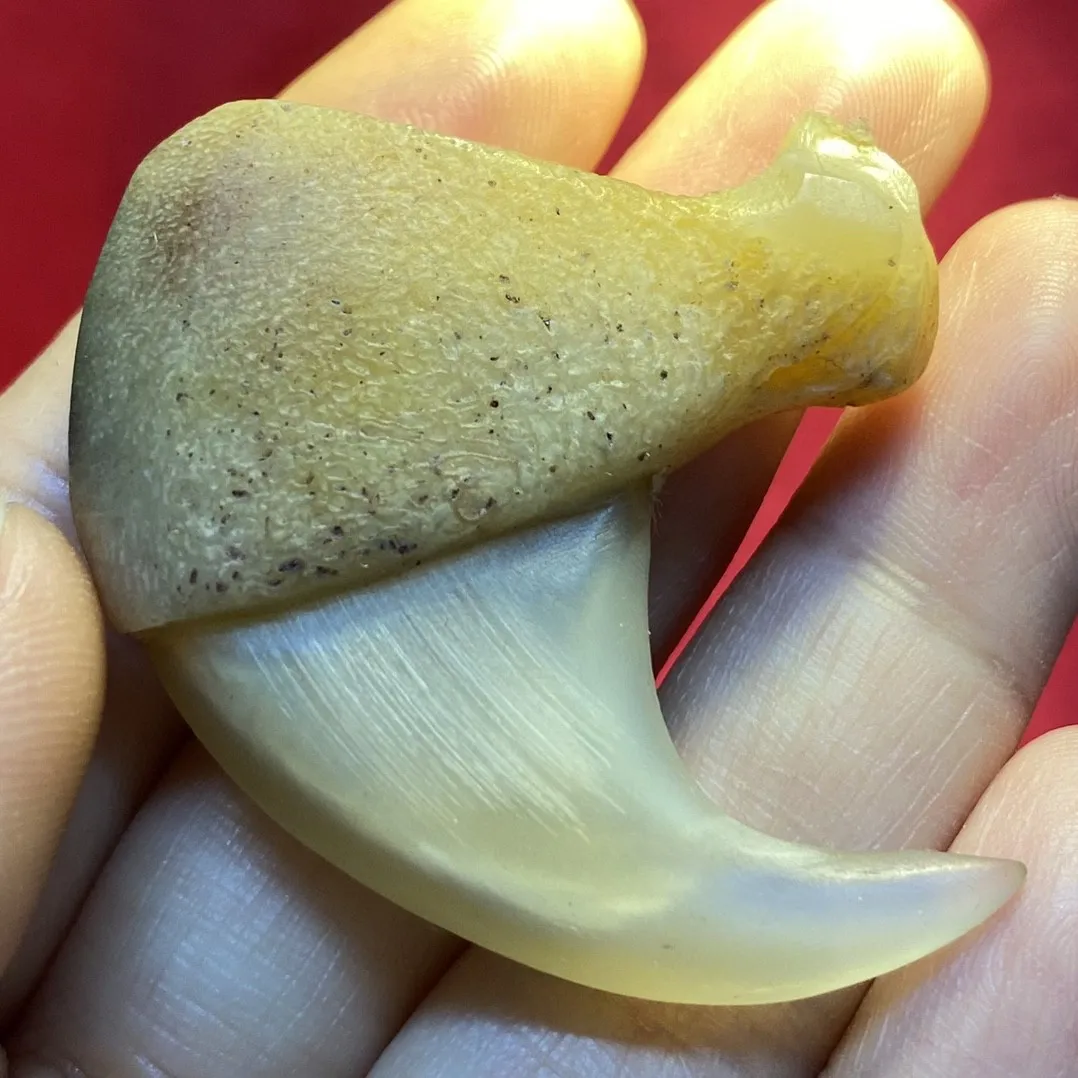 DIY decorative accessories for carvings and polishes of ox bones and horns, cat hooks, etc