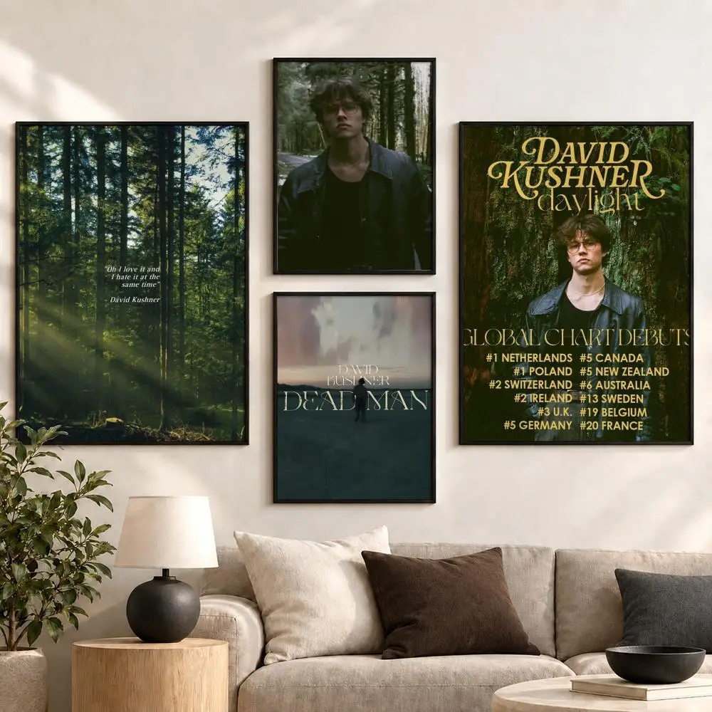 David Kushner Pop Singer Moody Vocals Indie Album Vibe Poster Aesthetic Art Print for Bedroom & Living Room Decor, Unframed