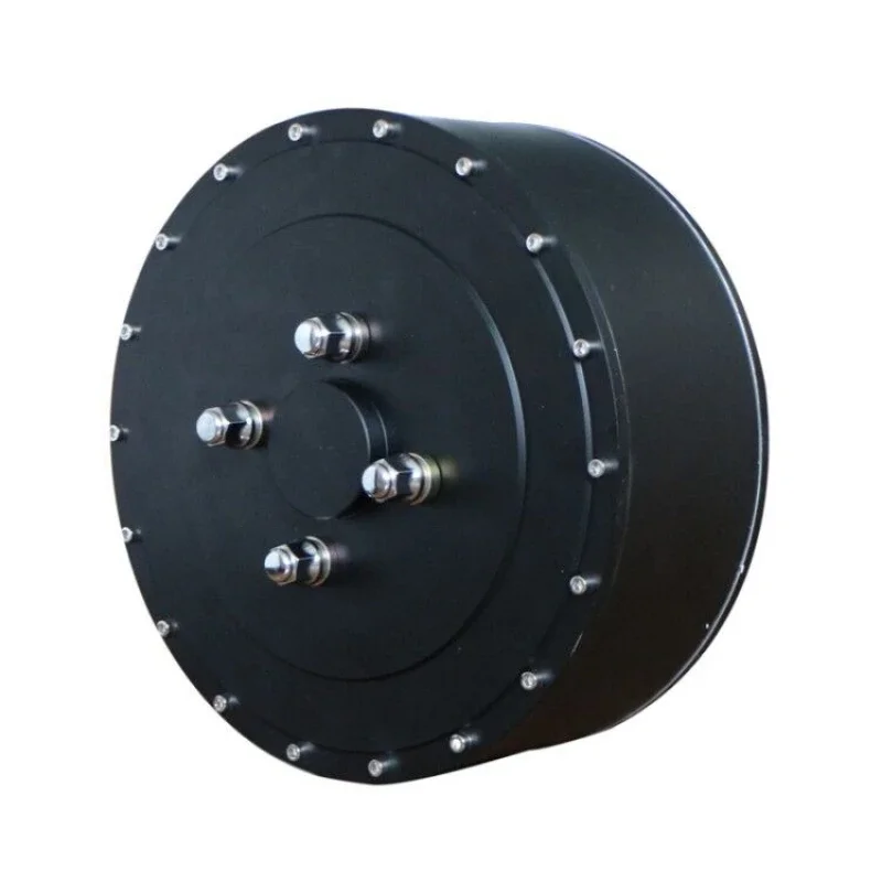 Electric Car Hub Motor