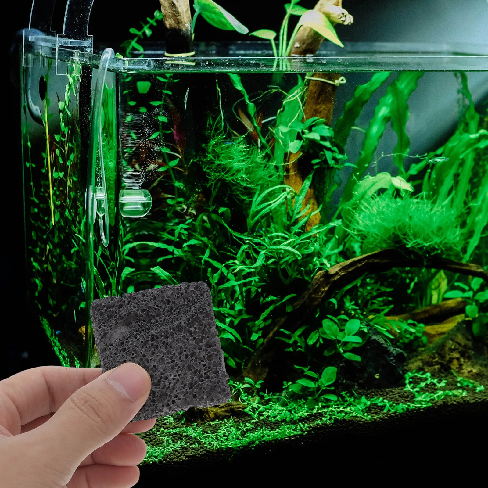 3 pièces de pierres volcanique - Planted Aquarium Anubias avis et prix