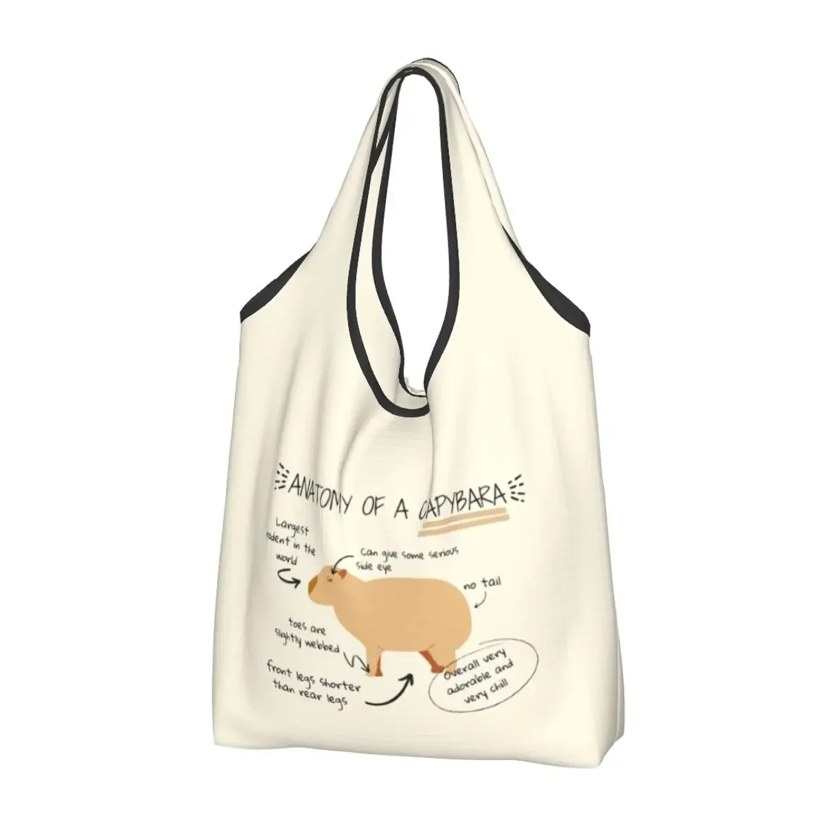 Reusable Anatomy Of A Capybara Shopping Bag Women Tote  Portable Groceries Shopper s