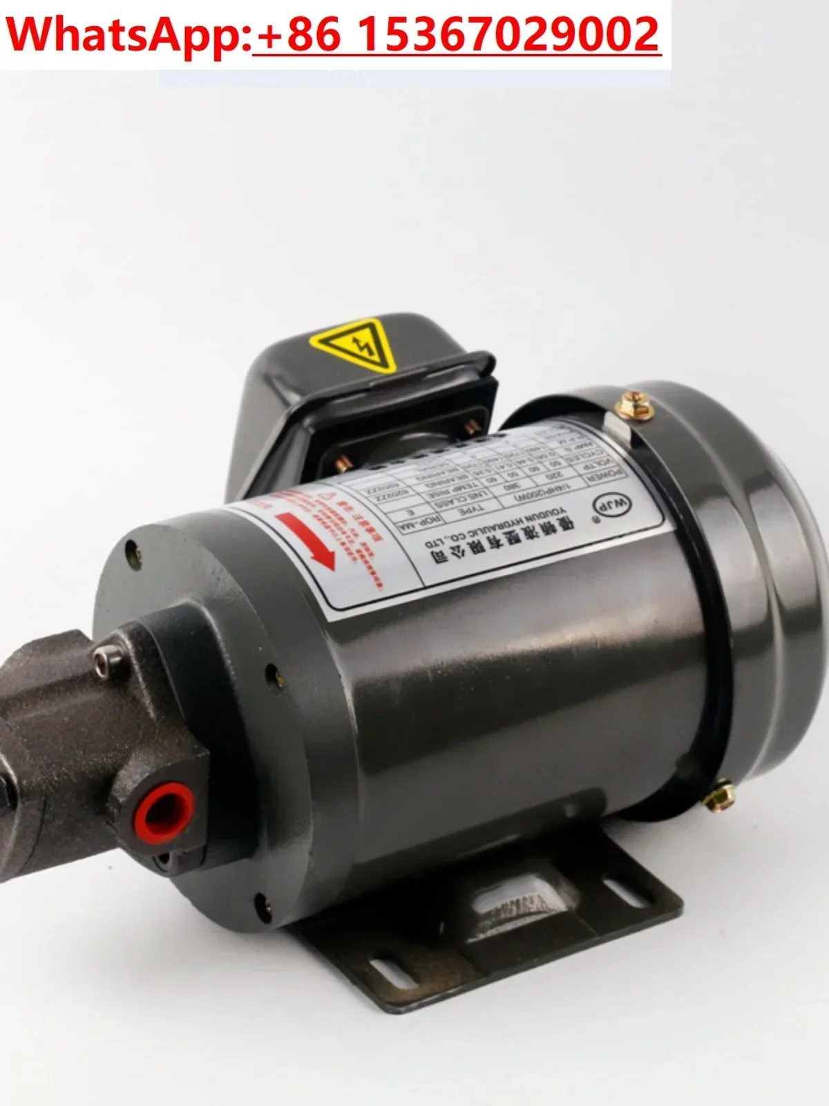 TOP Oil Pump Motor Combination Triangle Interpolation 380V Hydraulic Gear Lubrication  Triangle Oil Cycloidal