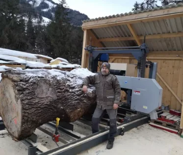 Wood Cutting Saw Machines / Electric Portable Horizontal Mini Band Saw Sawmill Machine for Sale