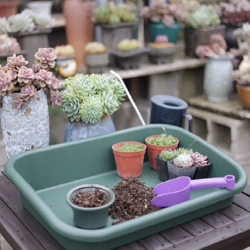 

Garden tidy potted tray, indoor transplant gardening planting accessories large succulent plant table