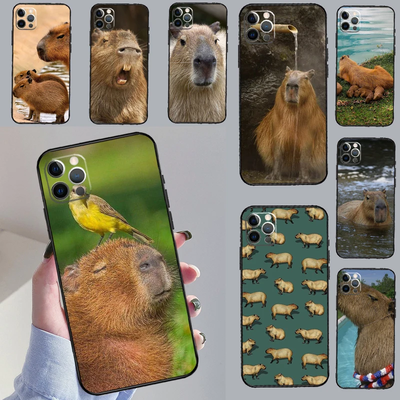 Capybara Animal Cas… - image