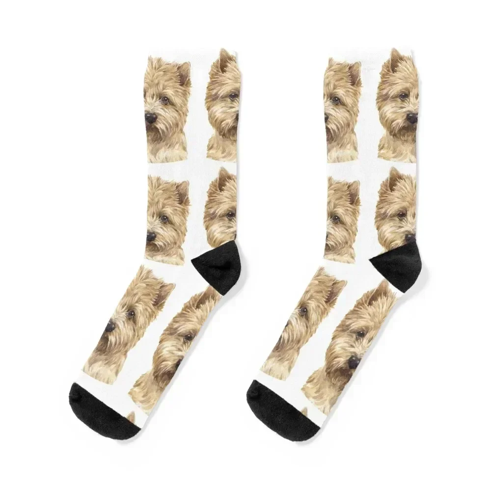 Cairn Terrier Watercolor Art Socks anti slip football tennis floral Men's Socks Women's