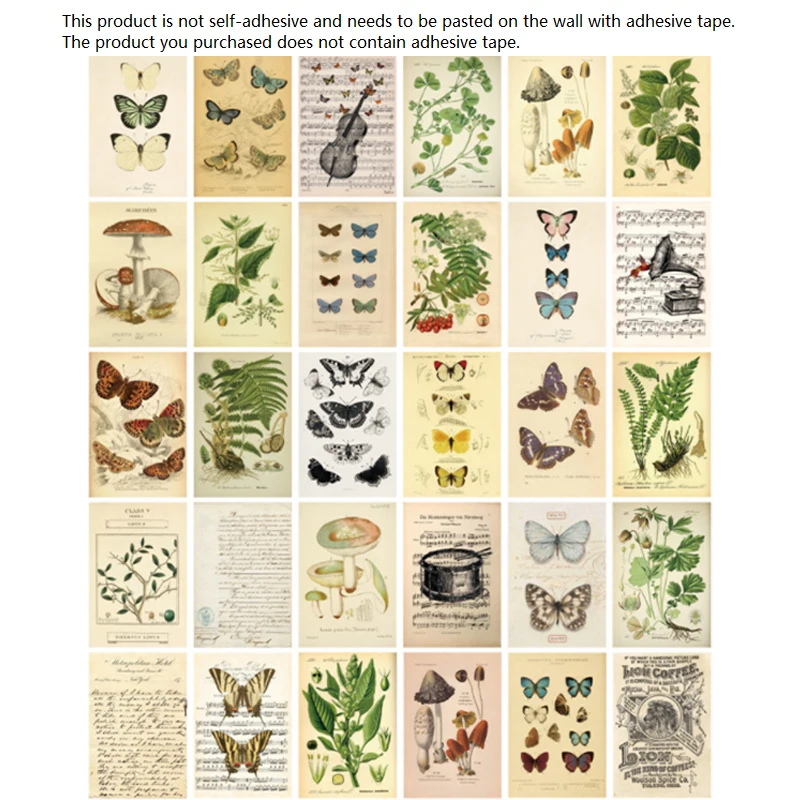 30Pcs Wall Stickers Biological Specimen Series Butterflies Mushroom Plant Wall Art Living Room Decorative Cards Home Decor