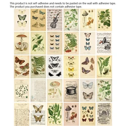 30Pcs Wall Stickers Biological Specimen Series Butterflies Mushroom Plant Wall Art Living Room Decorative Cards Home Decor