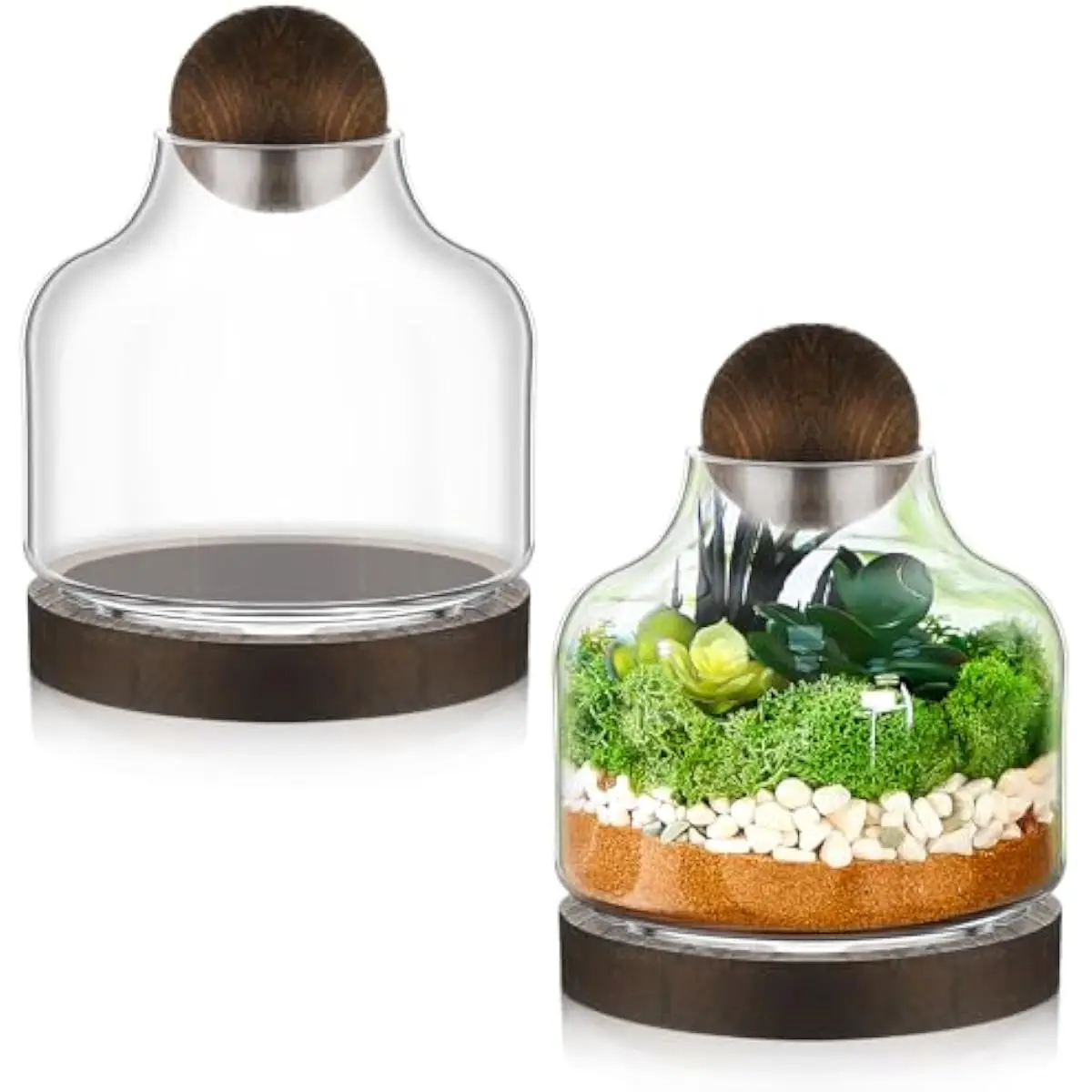 2 pcs round clear glass terrarium jars with natural wood base and spherical lid, 7 inch diameter lightweight indoor ecosystem ve