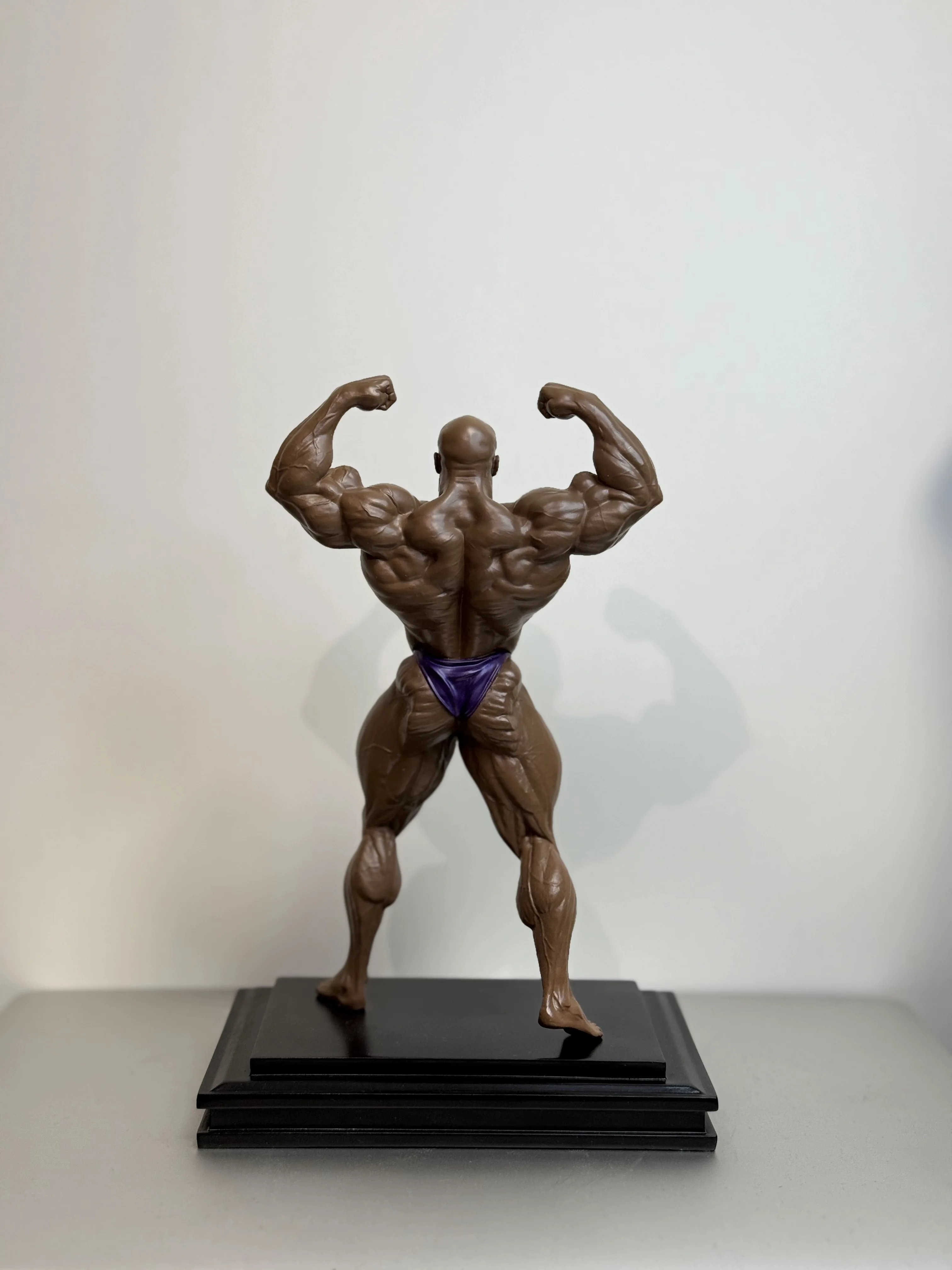 Ronnie Coleman Garage Kit 23cm height