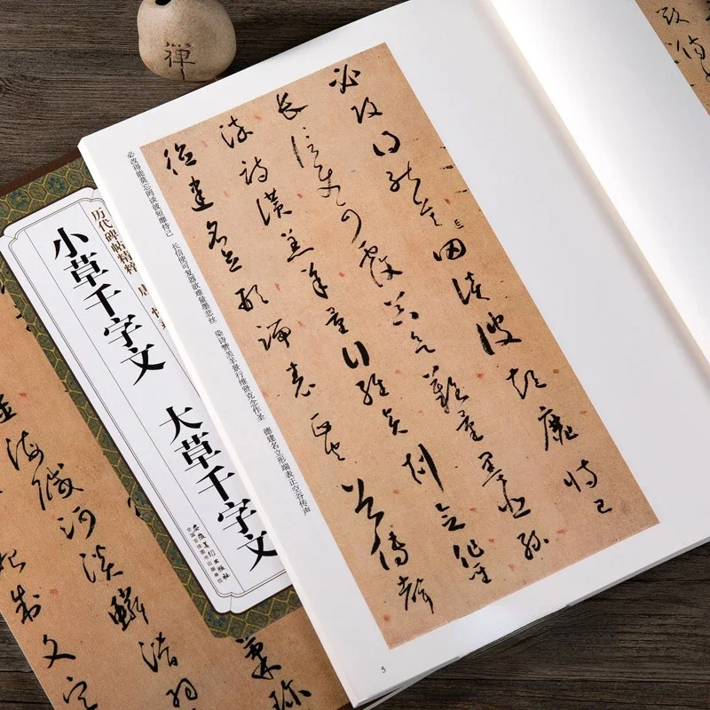 Tang HuaiSu Cursive Script Brush Calligraphie Copybook Thousand Characters Copybook Practice Simplified Chinese Annotation Books
