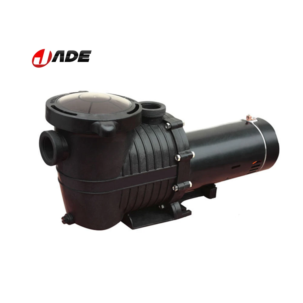 

J11502 Dual Speed Pool Pump For Distributors