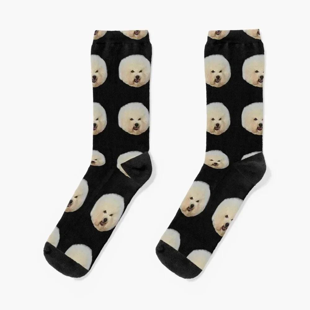 Calcetines para perros Bichon Frise muy hermosos, medias antideslizantes sueltas en movimiento, calcetines para mujer y hombre