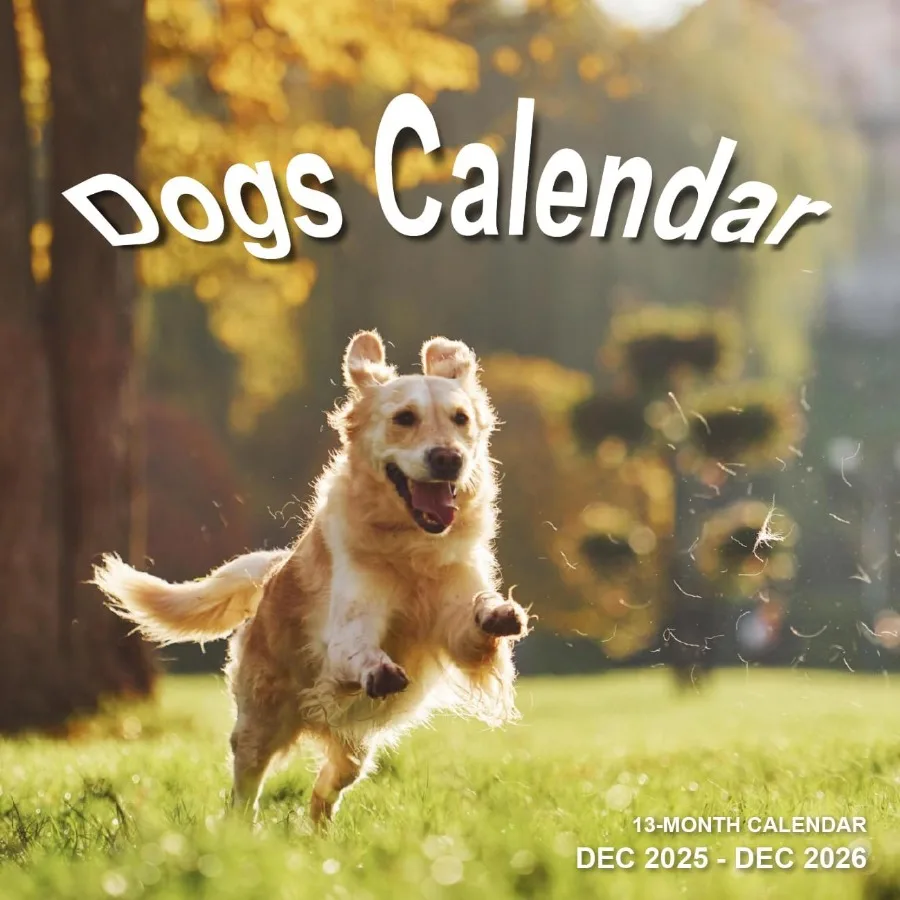 

Calendar 2026 - Wall Calendar from December 2025 to December 2026 3 Languages English Freh Spanish 2026 Calendar with Holiday M