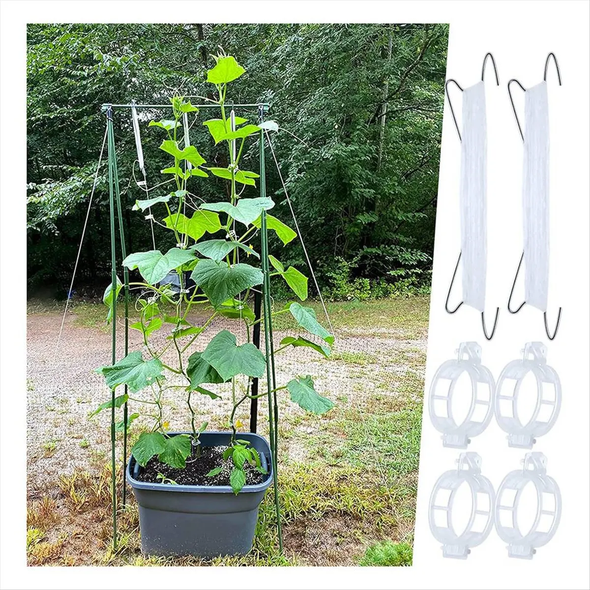 ABNQ 40pcs Tomato Hooks with String, Tomato Support Hooks, Tomato Holder Hooks & Plant Support Clips with 33.3ft Twine