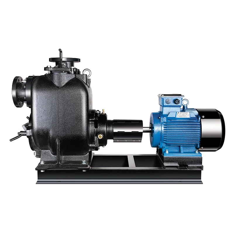 

CNP SP Series Self-Priming Sewage Pump 220V/380V Electric Cast Iron Sewage Pump for Wastewater Treatment