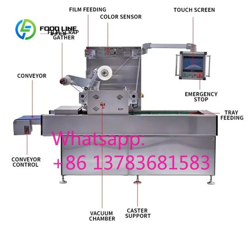 Continuous Modified Atmosphere Tray Vacuum Sealing Machine Lunch Box Vacuum Sealer Skin Vacuum Packaging Machine Customized