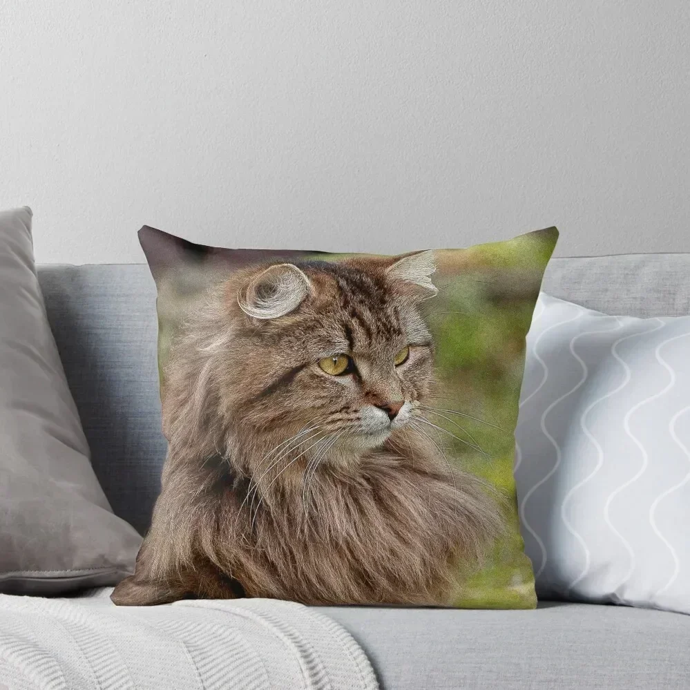 Maine Coon Cat Artwork Throw Pillow Cushion Cover For Sofa pillow pillowcase Pillows Aesthetic pillow