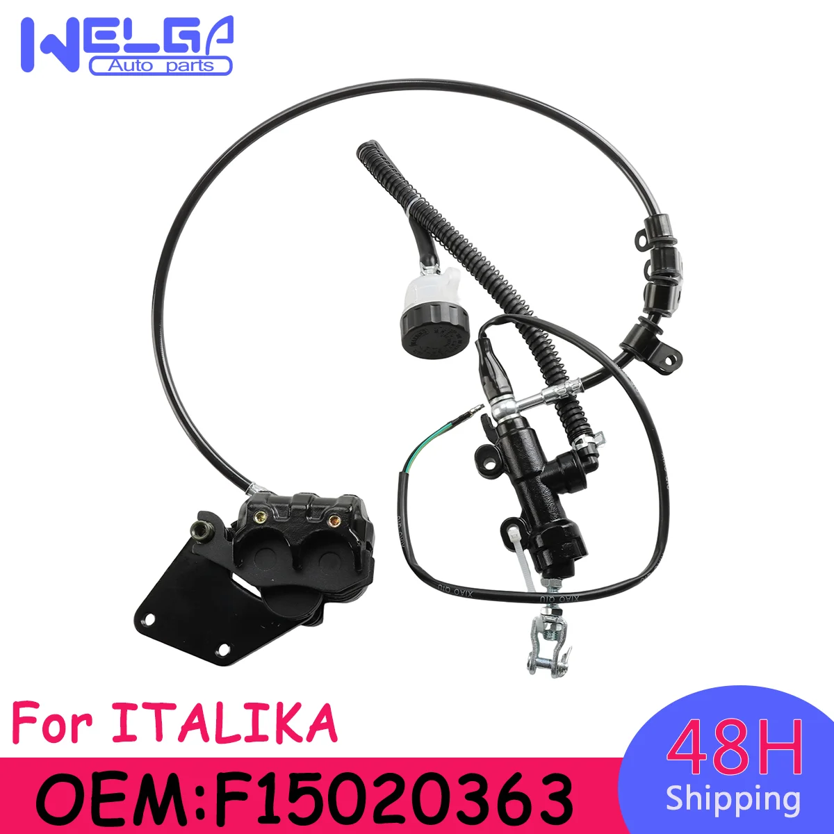Conjunto de Freno de Disco Trasero para Motocross, Cilindro de Caliper para ITALIKA DM 250 2022-2024, para ITALIKA DM 300 2025 F15020363 15020363