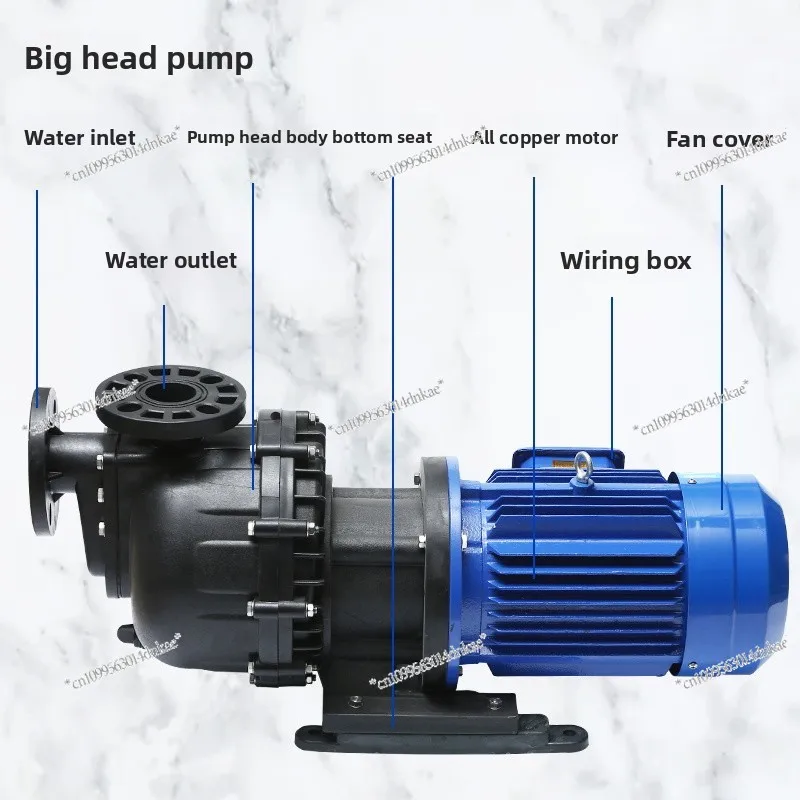 Horse Belly, Large Head,Plastic Anti-corrosion Chemical, Can Be Idling Acid and Alkali Self-priming Pump Pp Sewage High