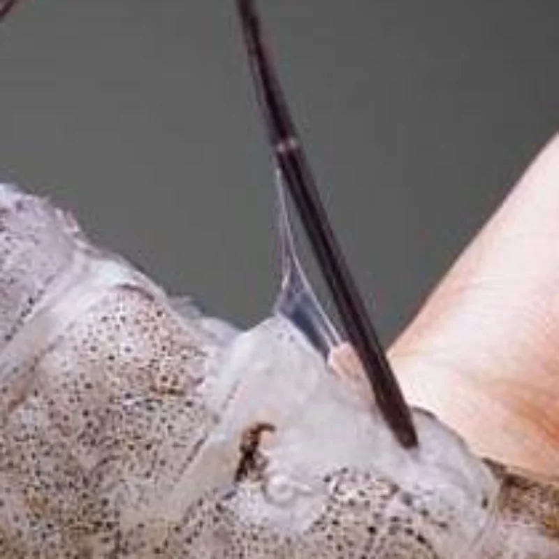 Stainless Steel Shrimp Peeling Tools Seafood Quick Sheller Shrimp Line Remover Shrimp Shell Peeler Kitchen Tools