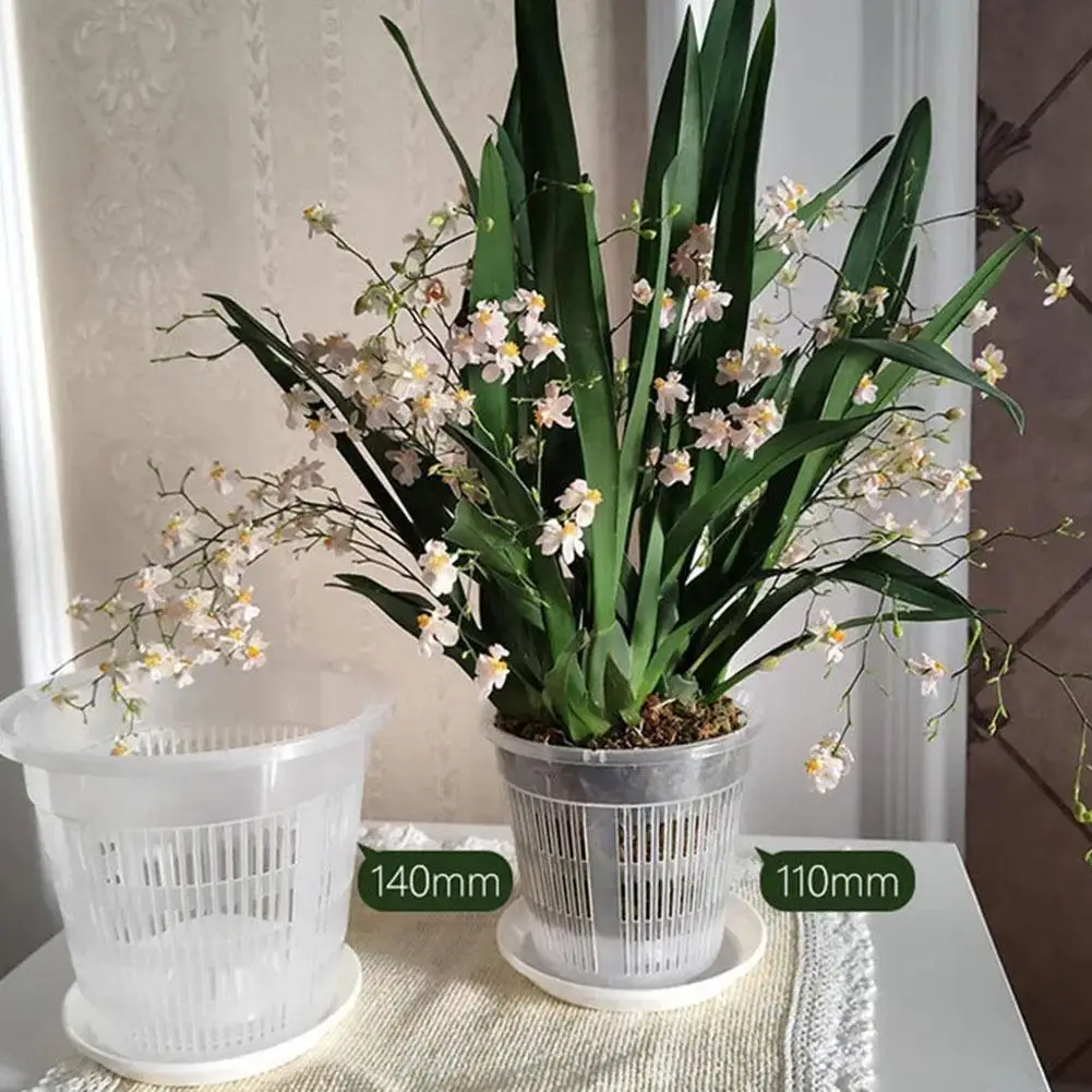 Root Control Flower Pot Dendrobium Officinale Floor Pot New Green Plant Pot Simple Desktop Flower Breathable Pot