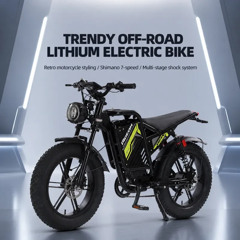 Snowmobile Wide Tire Electric Bicycle Dual Motor E-Bike Electric Moped Dual Shock Absorption Dual Drive Motor Electric