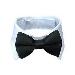 1PC Pet Puppy Dogs Adjustable Bow Tie Collar Necktie Bowknot Bowtie Holiday Wedding Decoration Accessories New