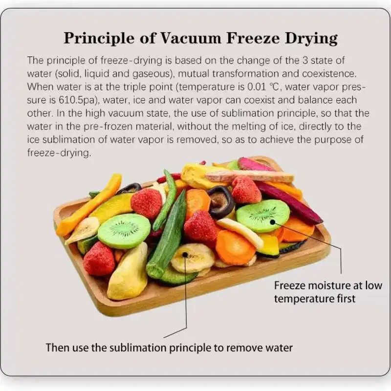 Lab Mini Lyophilizer Fruit Food Freeze Drying Machine Freeze Dried Coffee Dehydrator Vacuum Freeze Dryer Equipment For Sale